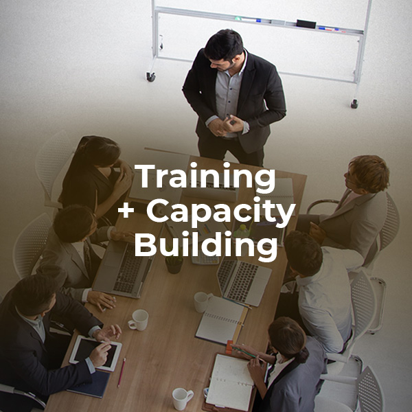 Training & capacity building